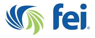 2 fei Logo